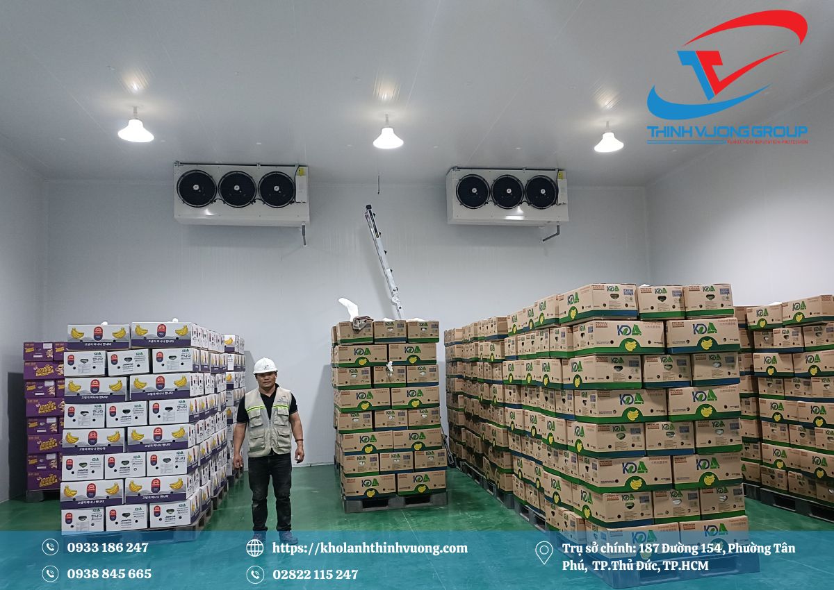 Kho Lạnh Bảo Quản Chuối 4 Tính năng vượt trội của kho lạnh bảo quản chuối của Thịnh Vượng Group