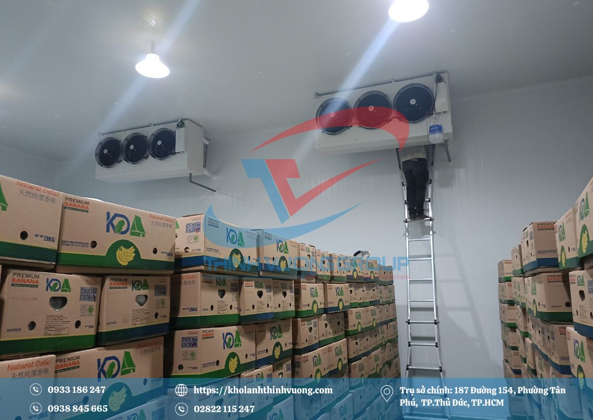 Kho Lạnh Bảo Quản Chuối 3 Thịnh Vượng Group chuyên thi công kho lạnh bảo quản chuối