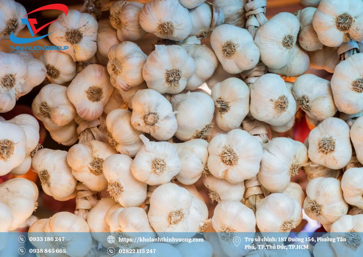 Kho lạnh bảo quản tỏi 1 Kho lạnh bảo quản tỏi