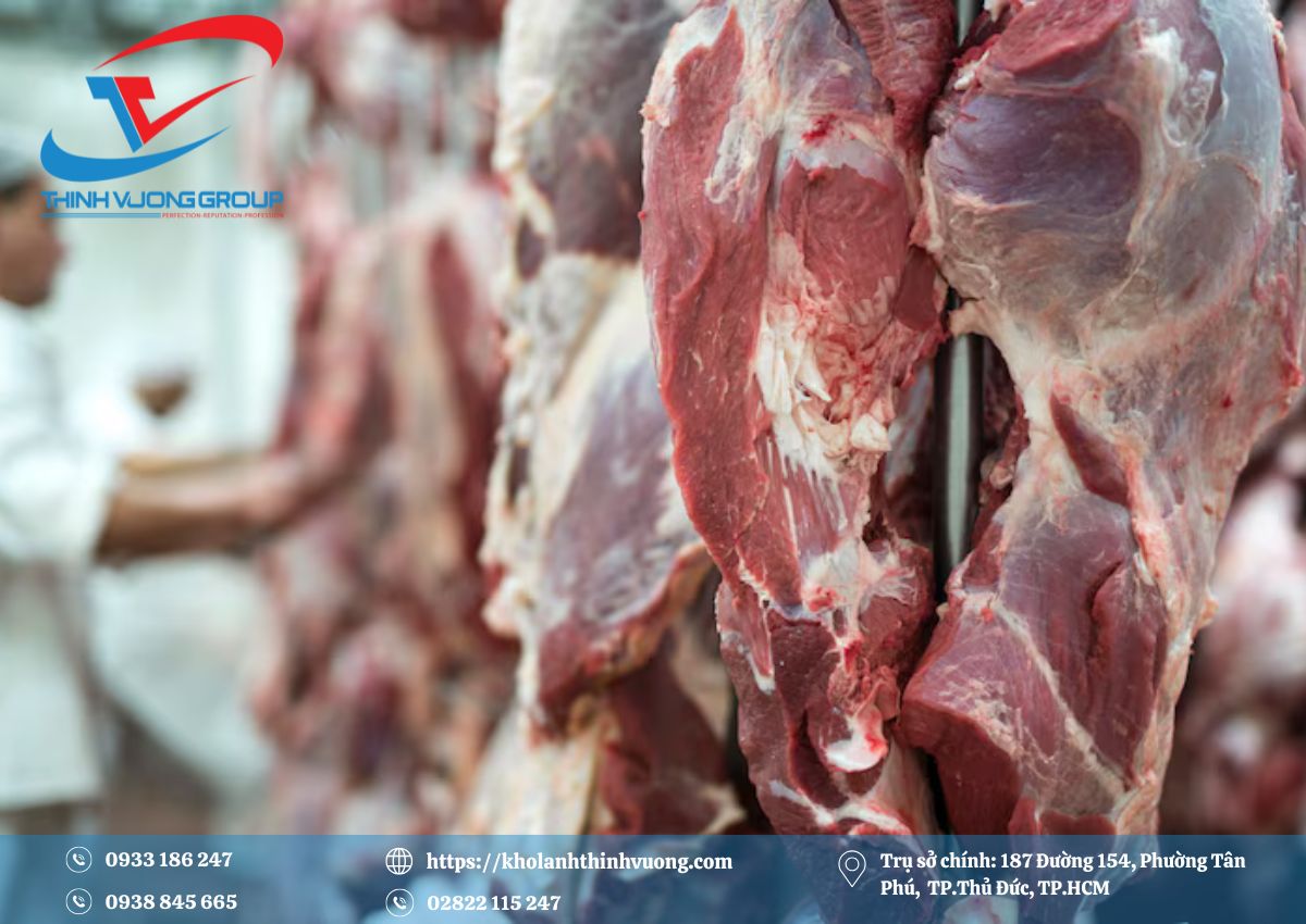 Kho Lạnh Bảo Quản Thịt 4 Dự án thi công kho lạnh bảo quản thịt bò ở Tĩnh Nghệ An