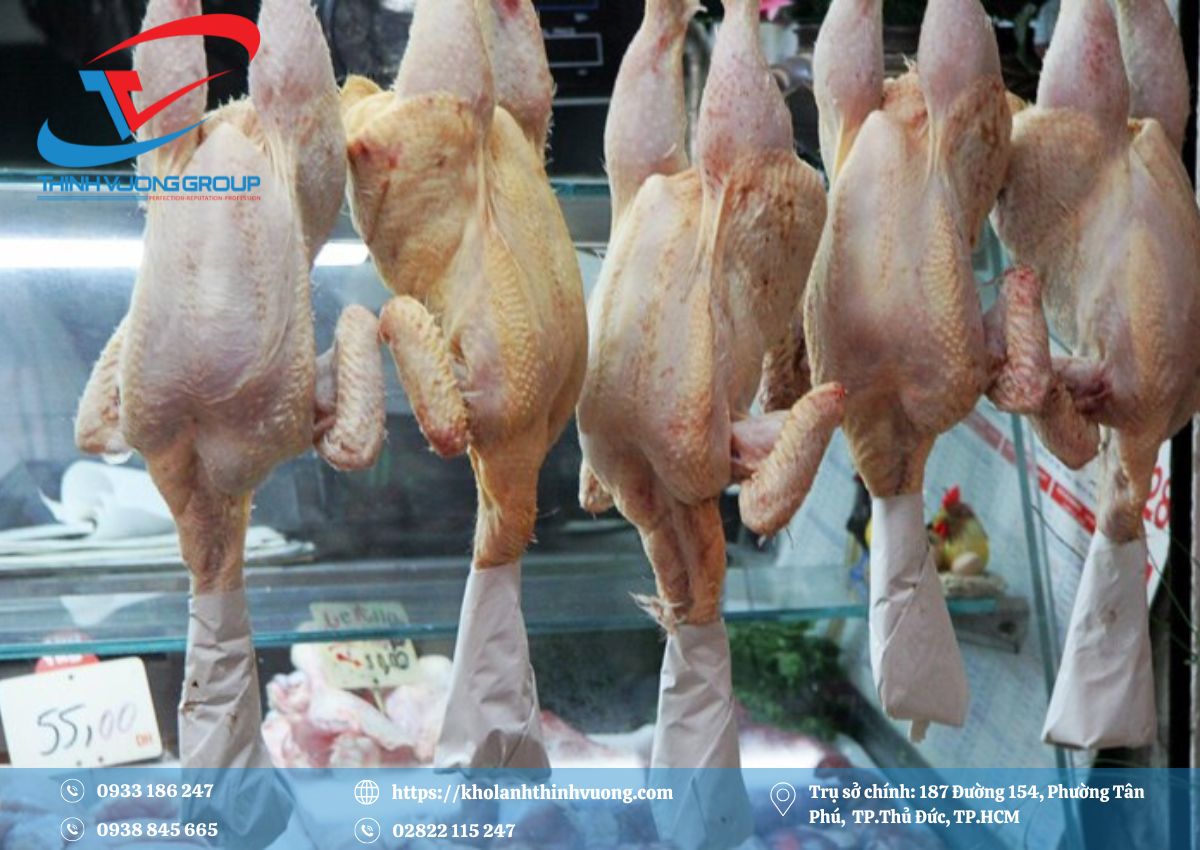 Kho Lạnh Bảo Quản Thịt 7 Dự án làm kho lạnh bảo quản thịt gà Tĩnh Bình Dương
