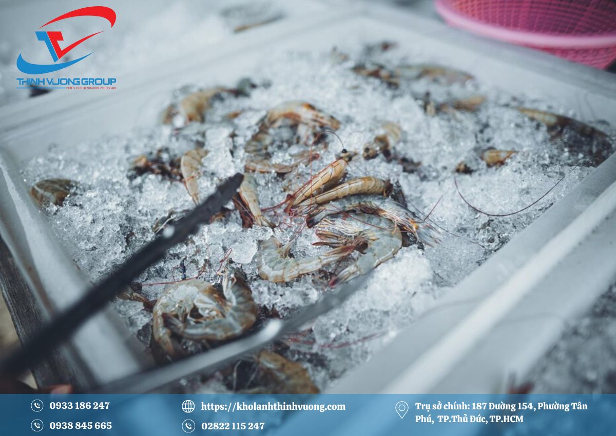 Kho lạnh bảo quản tôm 1 Kho lạnh bảo quản tôm