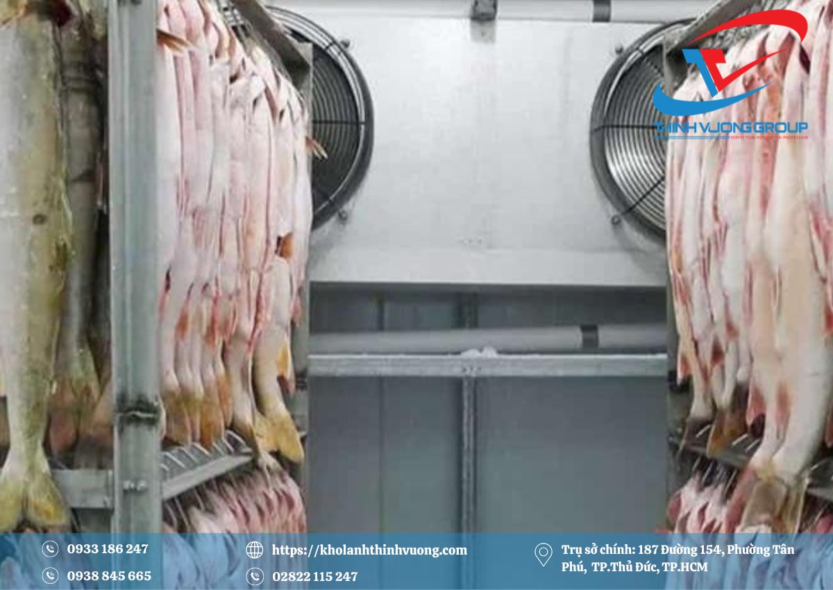 Kho Lạnh Tiền Giang 9 Kho lạnh bảo quản cá ở Gò Công Đông, tỉnh Tiền Giang
