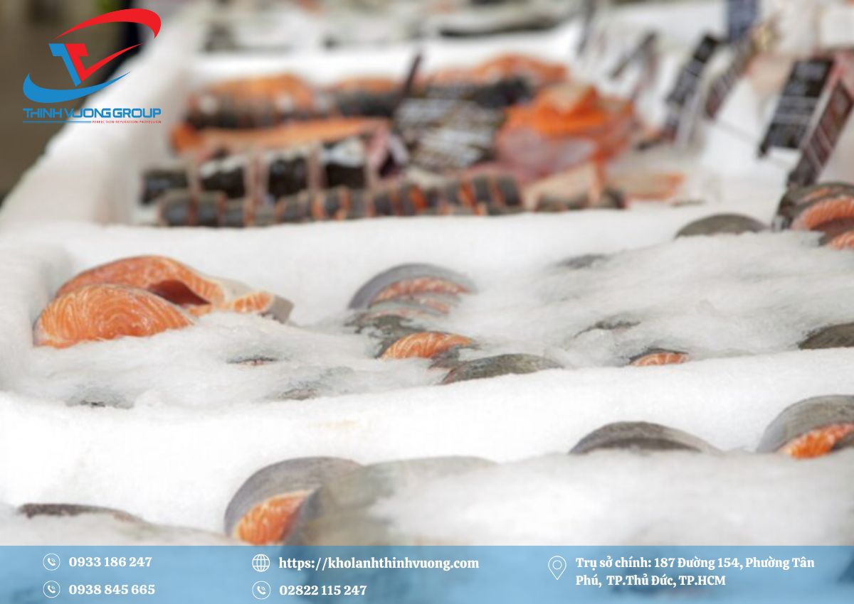 Lắp Đặt Tủ Cấp Đông Nhanh Bảo Quản Cá Tầm Tại Gò Vấp 2 Kho Lạnh Thịnh Vượng - chuyên lắp đặt tủ cấp đông nhanh bảo quản cá tầm