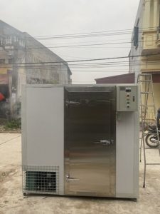 kho dong lanh mini