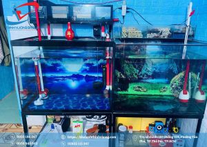 Máy Lạnh Nước Hồ Cá , Bể Thuỷ Sinh 26 Chiller mini liền khối 2 nguồn nước