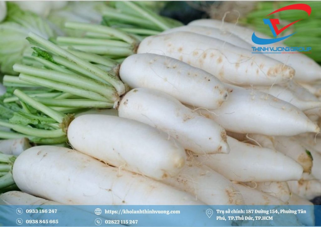 Kho Lạnh Bảo Quản Củ Cải 11 bảo quản củ cải trong kho lạnh
