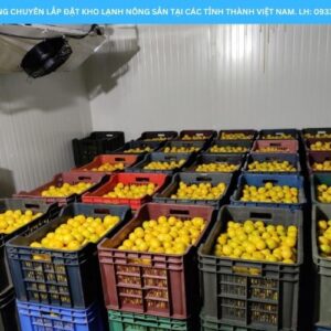 Thịnh Vượng Group đơn vị đi đầu trong việc thi công kho lạnh nông sản
