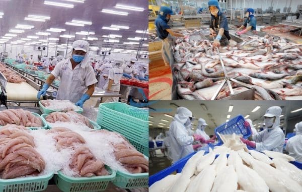 kho-thủy-sản-5 kho-thủy-sản-5
