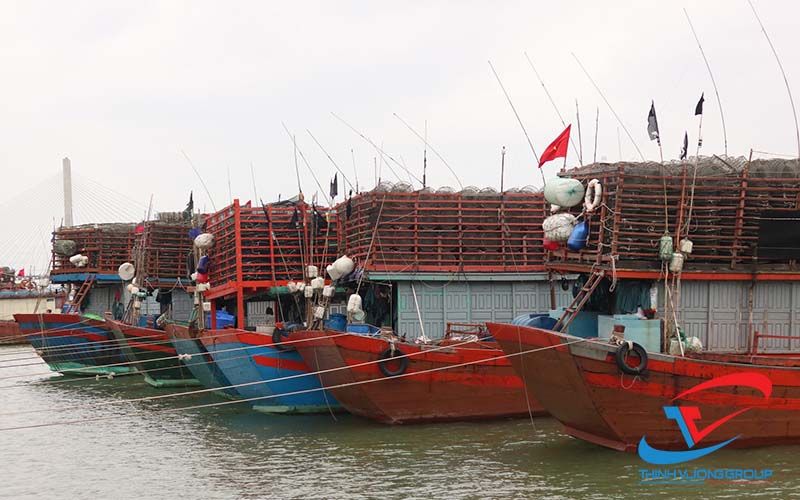 Nuôi trồng và đánh bắt thủy hải sản Quảng Bình đang được chú trọng 