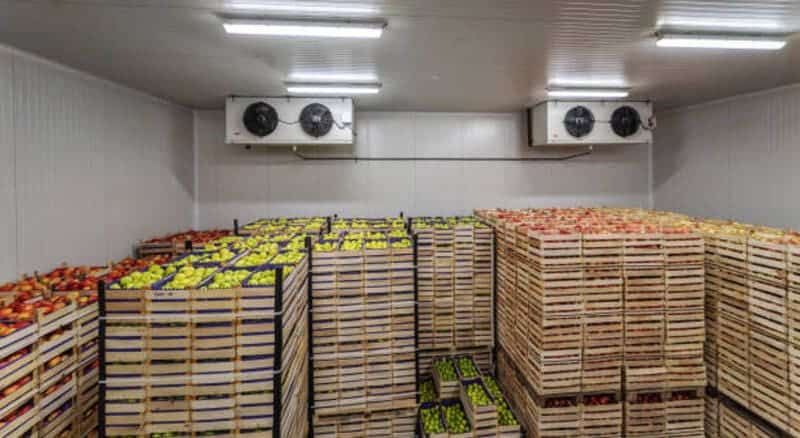 lắp đặt kho lạnh bảo quản trái cây cho doanh nghiệp