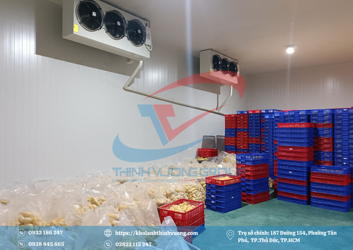 Kho đông lạnh công nghiệp phục vụ trung tâm logistics và doanh nghiệp xuất khẩu