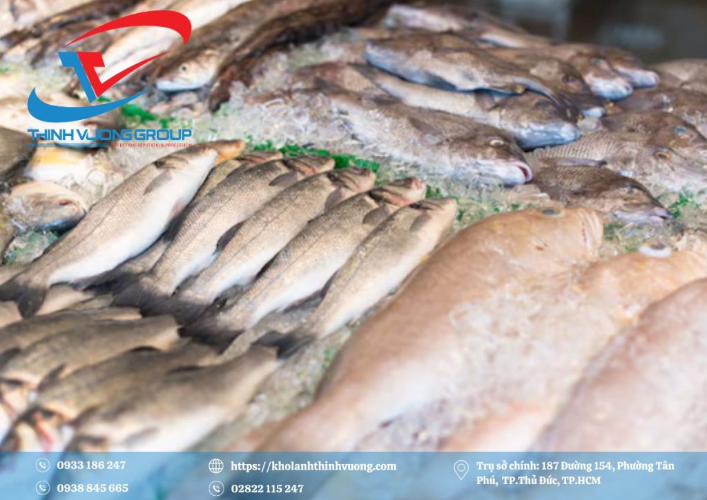 bảo quản cá biển trong kho lạnh
